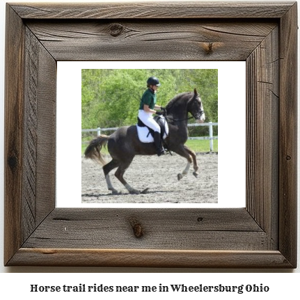 horse trail rides near me in Wheelersburg, Ohio